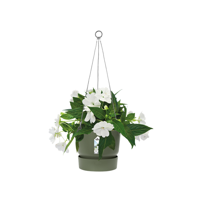 greenville hangschaal 24cm blad groen